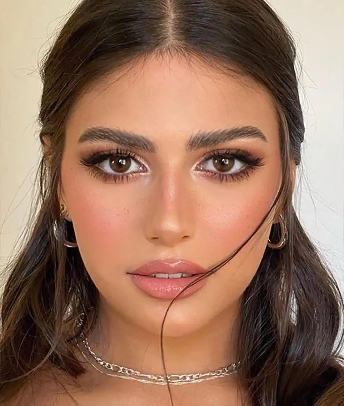 آرایش ملایم صورت گرد
