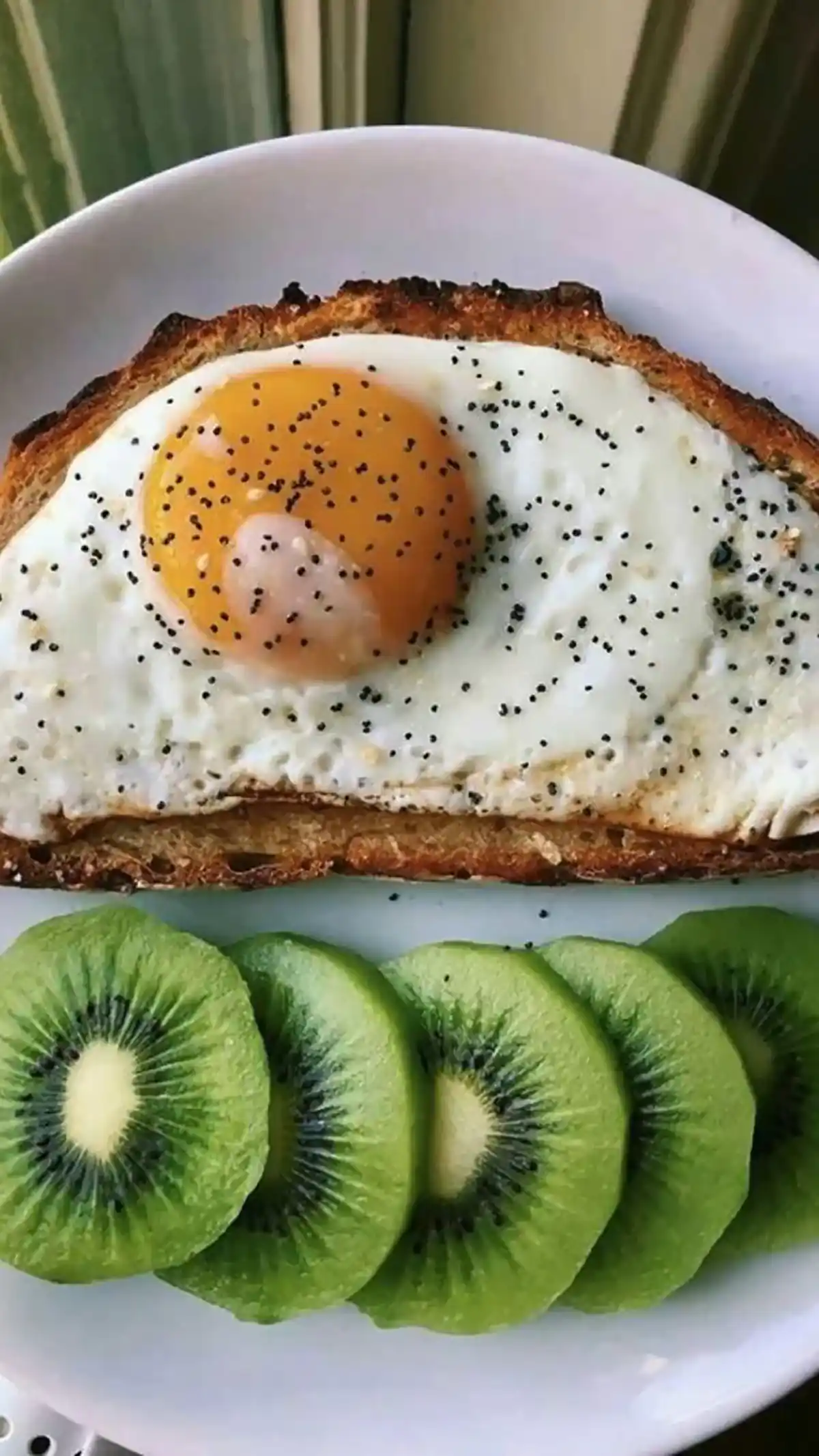 صبحانه برای مهمان