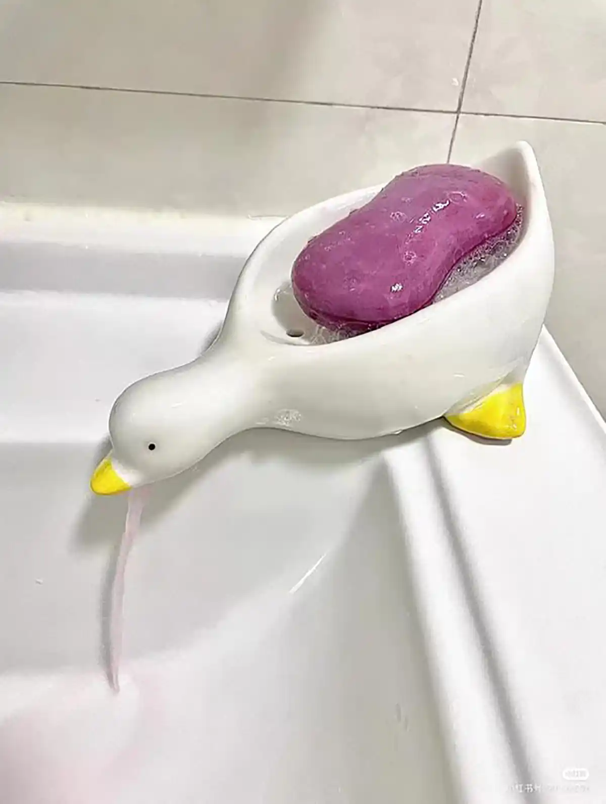 جا صابونی به انگلیسی 