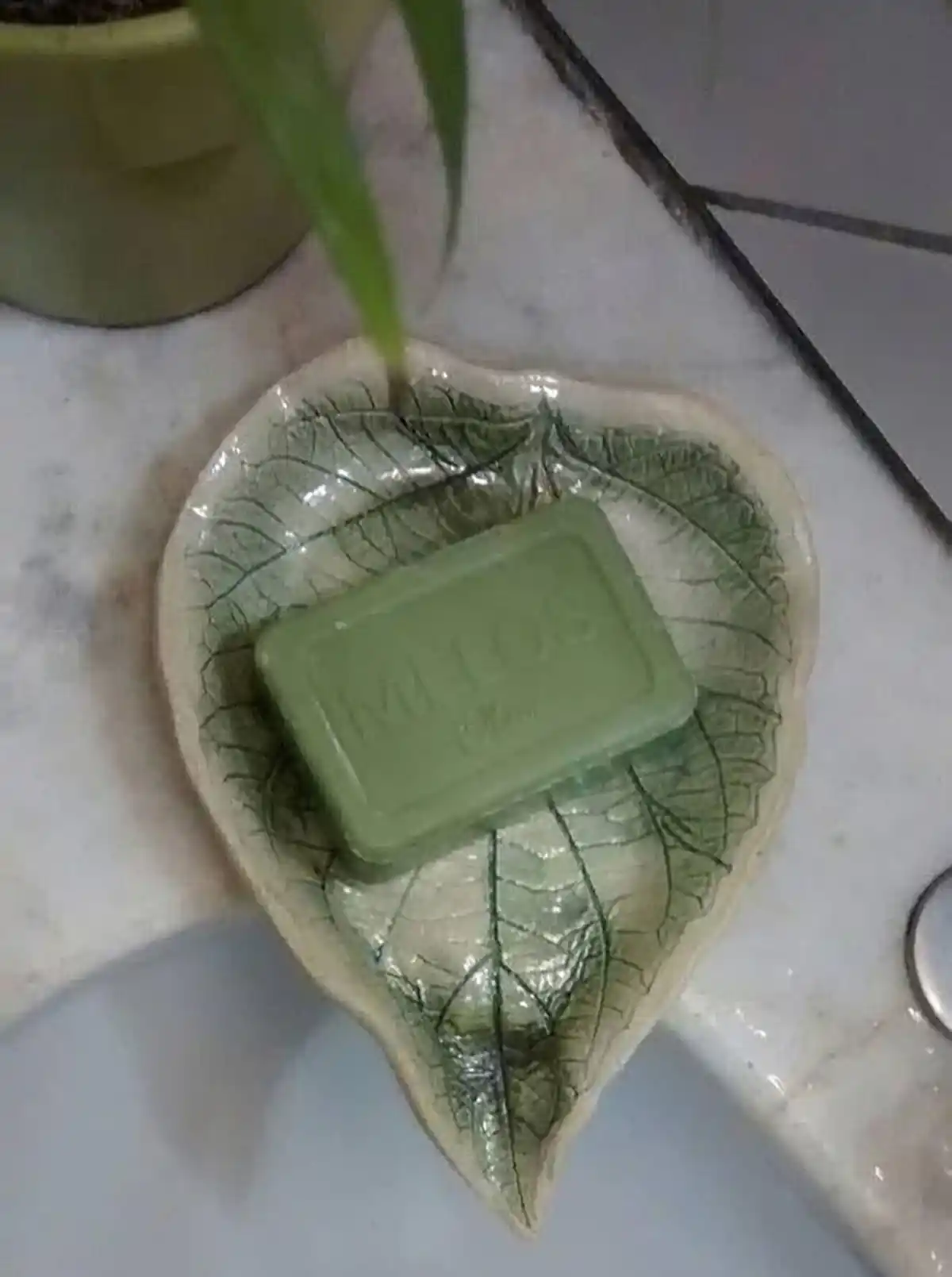 جا مسواکی مسافرتی 