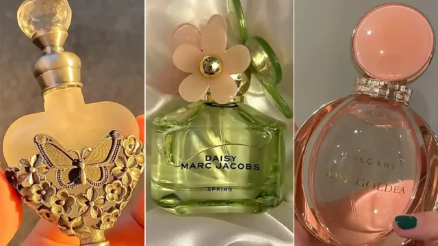 اگه دنبال یه شیشه عطر کادویی فانتزی می‌گردی این راهنمای خرید رو از دست نده