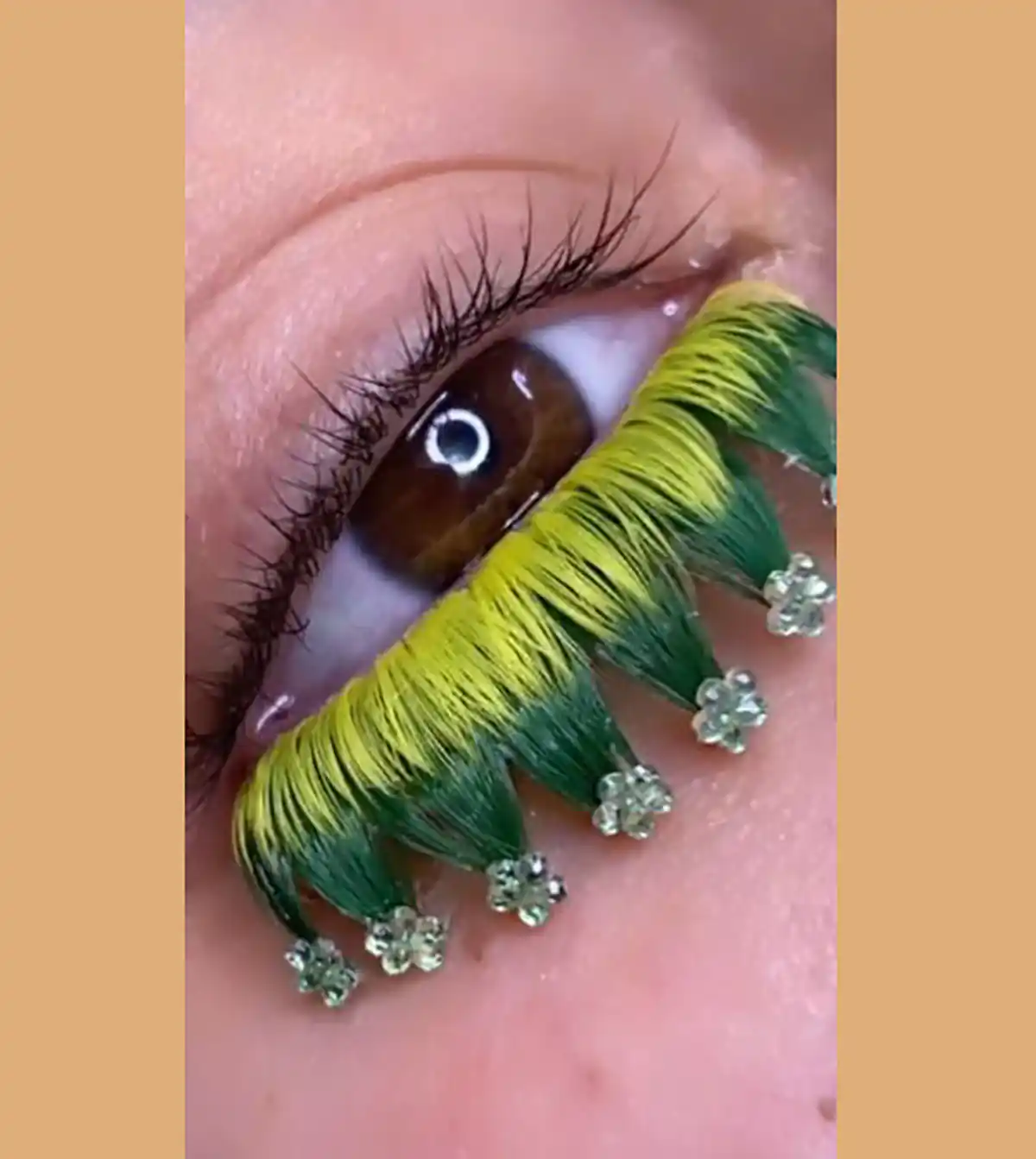 عکس کاشت مژه ژورنالی مژه ژورنالی چیست اکستنشن مژه ژورنالی آموزش کاشت مژه ژورنالی ژورنالی یعنی چی مدل مژه برای چشم ریز