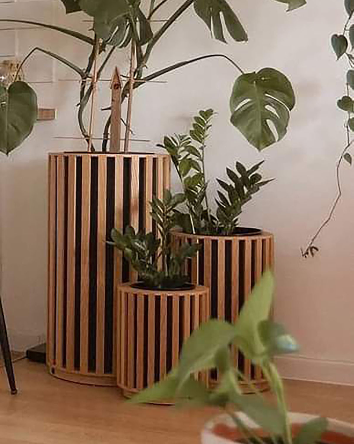 گلدان چوبی برای گل طبیعی