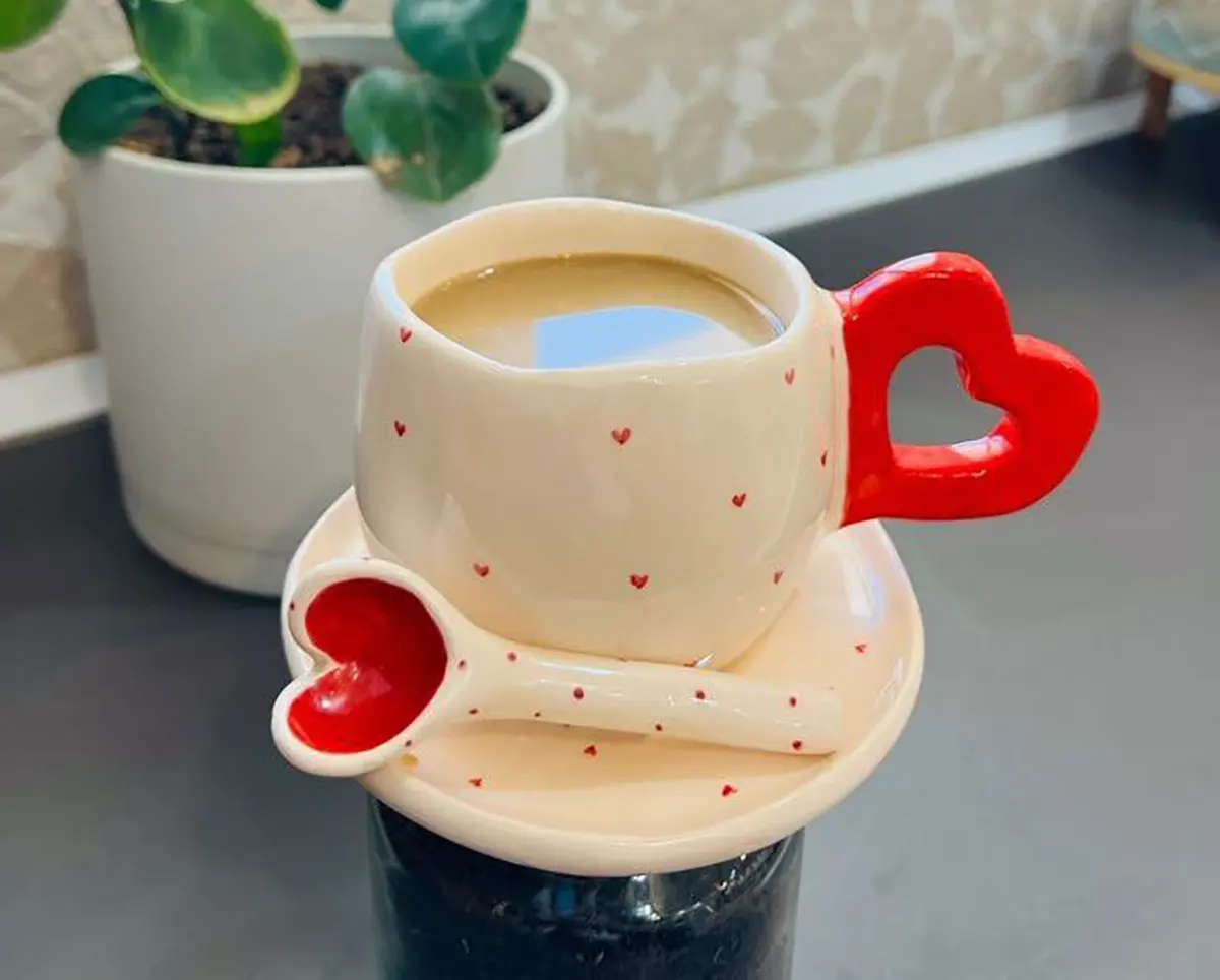 ماگ در دار
