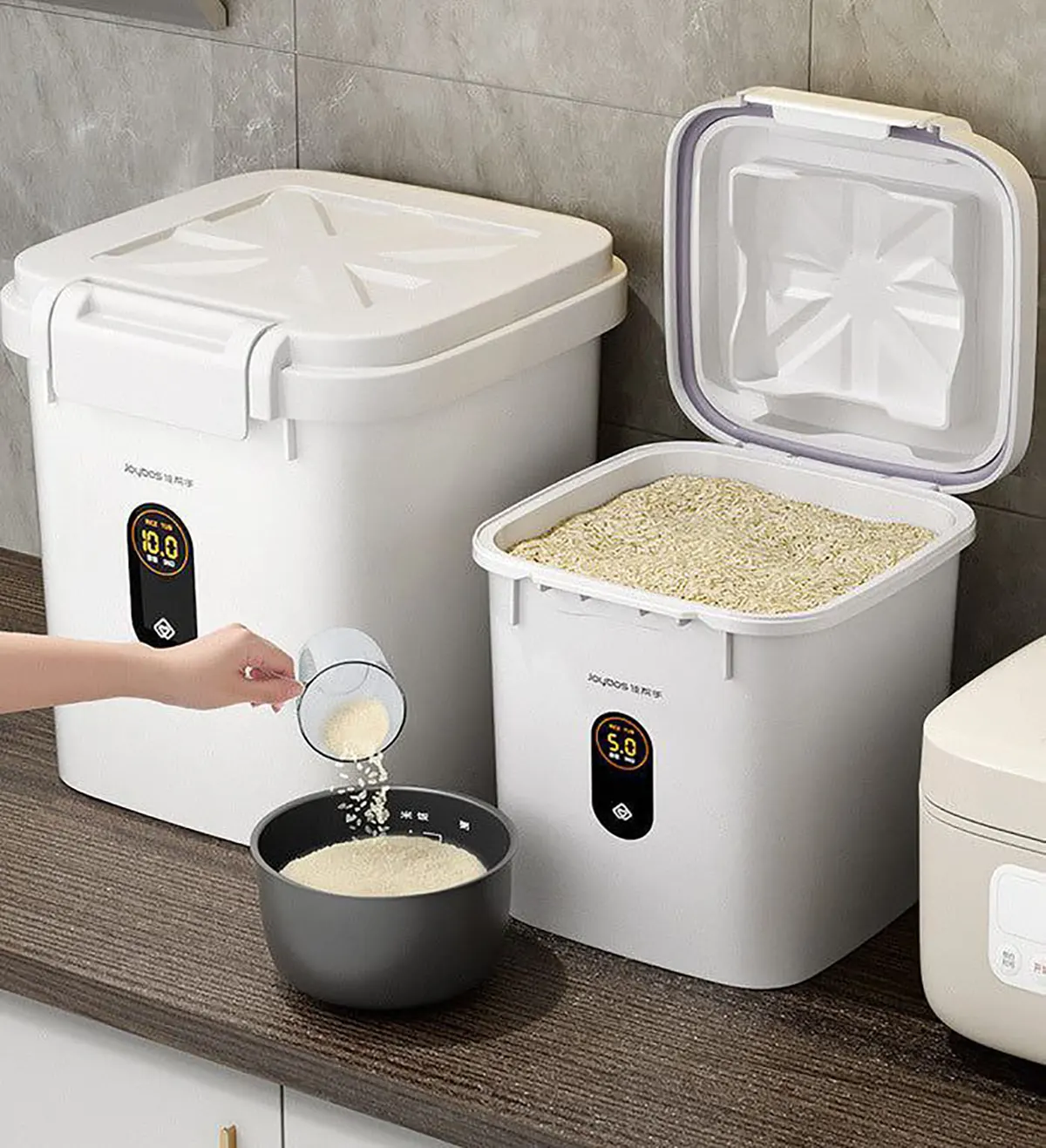 سطل برنج ۵۰ کیلویی
